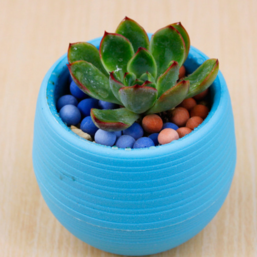 Plant Pot Small Desk - Mini Vasi in Resina per Piante