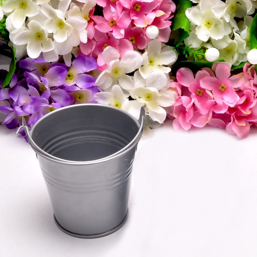 6 Pezzi Mini Secchielli in Met - Plant Pot Small Desk recensione e prezzo
