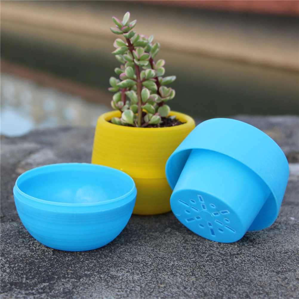 Mini Vasi in Resina per Piante - Plant Pot Small Desk recensione e prezzo