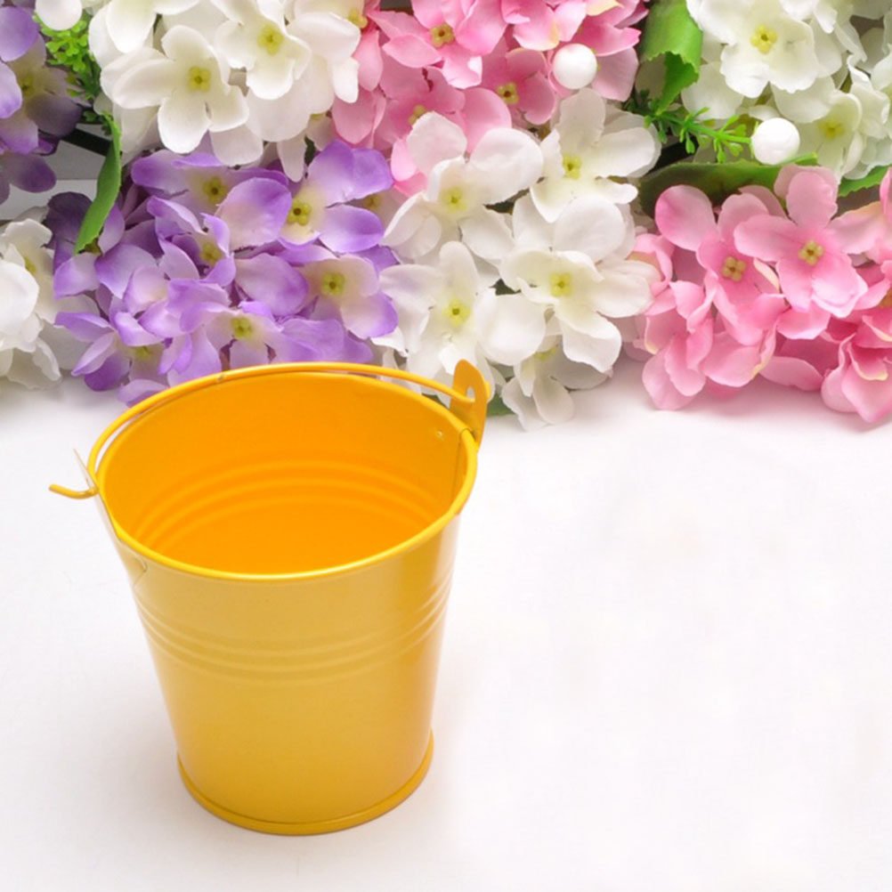 6 Pezzi Mini Secchielli in Met - Plant Pot Small Desk recensione e prezzo